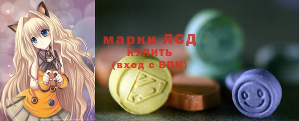 mdpv Вяземский