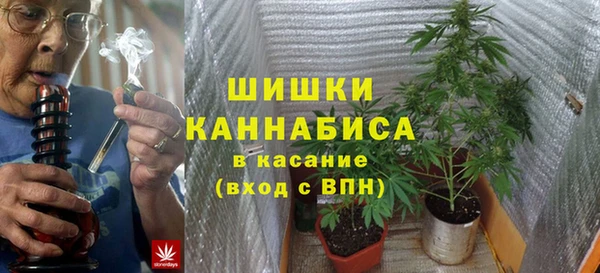 mdpv Вяземский
