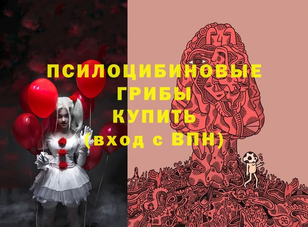 mdpv Вяземский