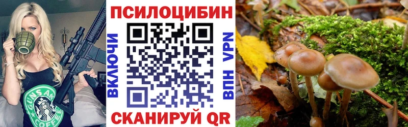 Галлюциногенные грибы мухоморы  Купить  Колпашево 